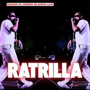 ratrilla (live)