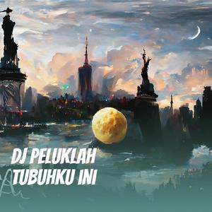 Dj Peluklah Tubuhku Ini