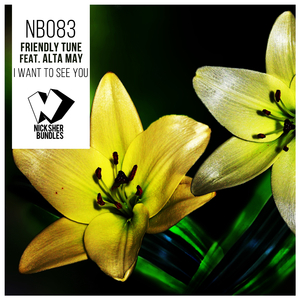 I Want to See You (Dub Mix)