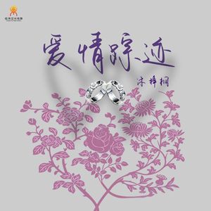 爱情踪迹-沐梓桐