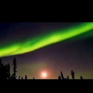 黑夜里的一束光-老鹰