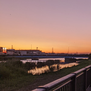 Far Zipangu curucuru