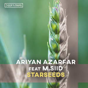 Starseeds (Original Mix)