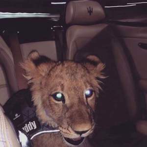 'Trap Beat' 'instant'