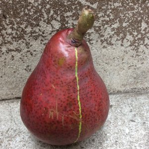 Uvas negras