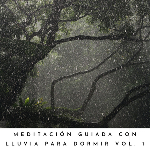 Experimento Con Sonidos De Lluvia