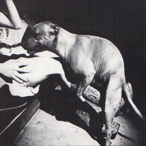 Santa Claus Wants Some Lovin'