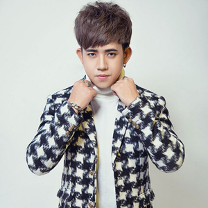 Anh Không Làm Được (Remix)