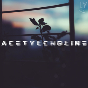Acetylcholine