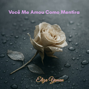Você Me Amou Como Mentira