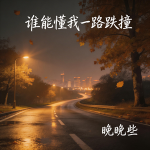 谁能懂我一路跌撞