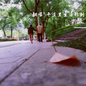平淡里生活的刺（翻自 宋冬野）