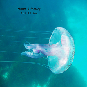 Portas Abertas (Original Mix)