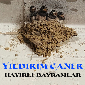Hayırlı Bayramlar