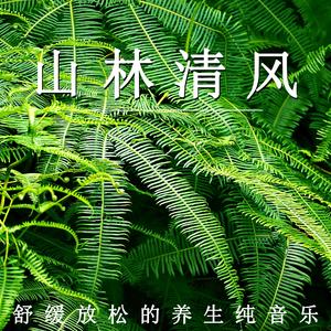 山林养生（轻音乐）