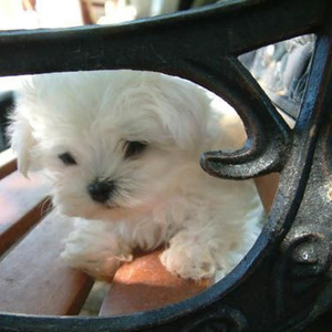 Real Hot Girl Skit (sped up)