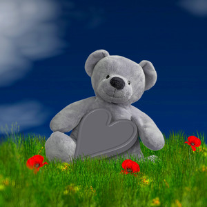 The Teddy Bear Closes His Eyes