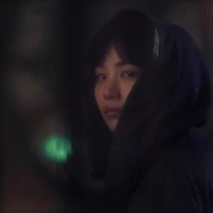 去年花开（翻自 王忻辰）