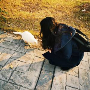 红色高跟鞋（温柔女生版）