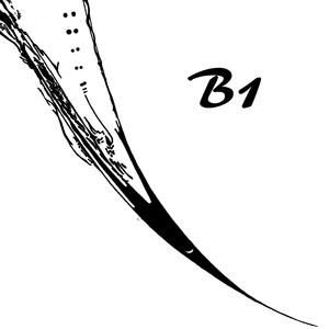 B1