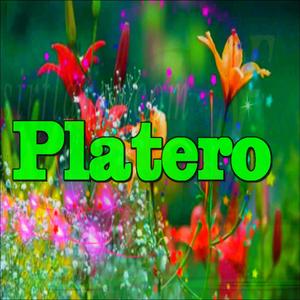 Platero