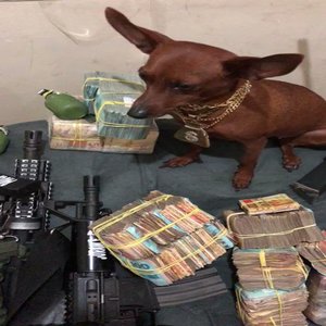 Mtg Proibidão de Bh 001