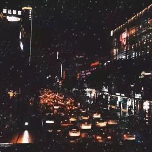 茶花（嗑瓜子版）