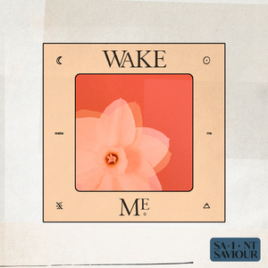Wake Me