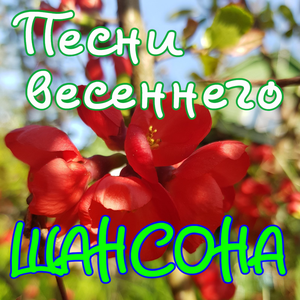 Воля законная