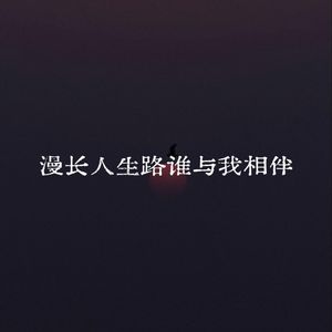 漫长人生路谁与我相伴