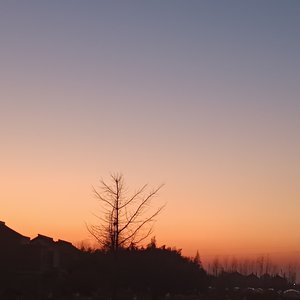 谁会2.0