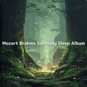 ねむねむドリームタイム - まったり ゆるふわ 作業用 睡眠 寝落ち用BGM 睡眠 寝落ち用BGM