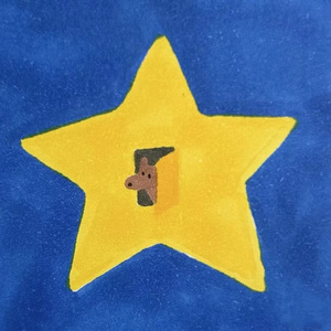 夏天的太阳与月亮的爱情故事