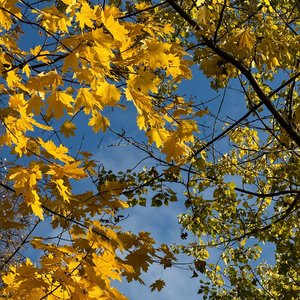 海陆风（live版）