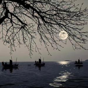 爱情像匆忙的长跑