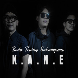 BTS (Bodo Teuing Sakarepmu)