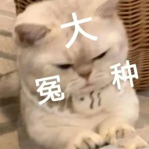 大冤种（晓歌版）