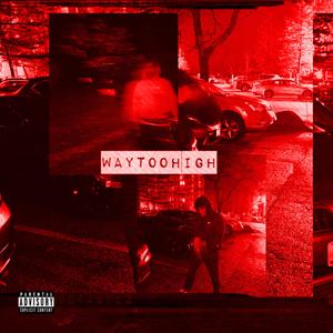 WAYTOOHIGH