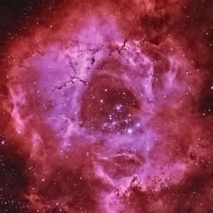 玫瑰星云（翻自 大C）
