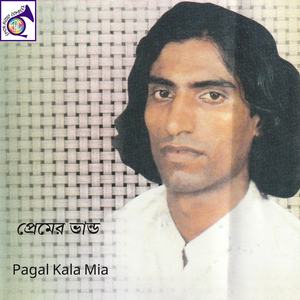 কি বলিলে সুন্দর মুখী