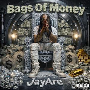 Bags Of Money