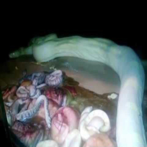 Match in the Freezer.