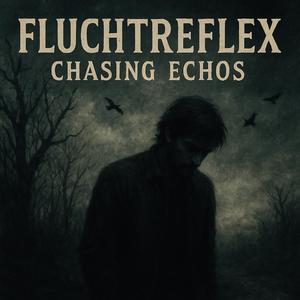 Chasing Echos
