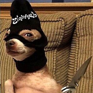 MUTT (feat. JB1RD & Dozed Rozay) (JR Remix)