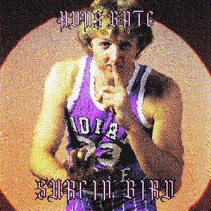 SURFIN' BIRD (feat. Rahkay)