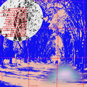 Trackability Test Record for Stereo Cartridges