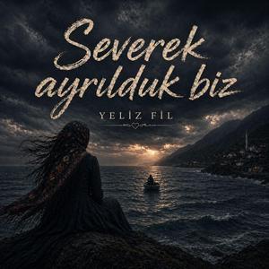 Severek Ayrılduk Biz