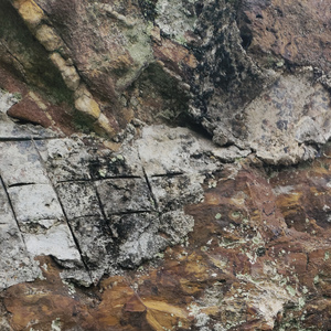 又要离开我家乡