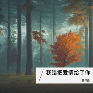 我错把爱情给了你-干音