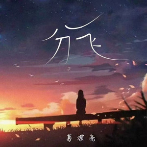 分飞（雨纷飞） (DJ九零版)